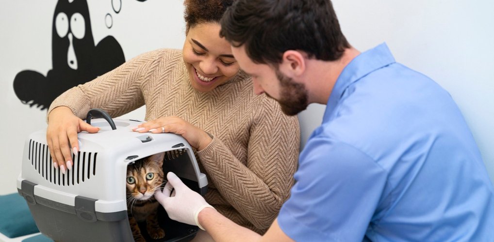 Animal Welfare & Veterinary Care Development Initiative